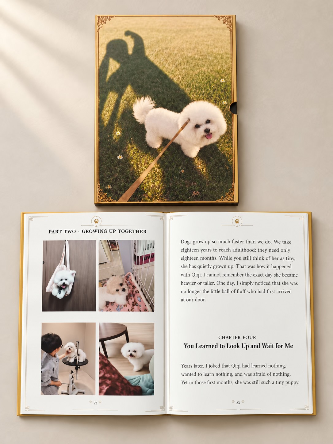 Open memoir pages combining family photographs with chapters about growing up together